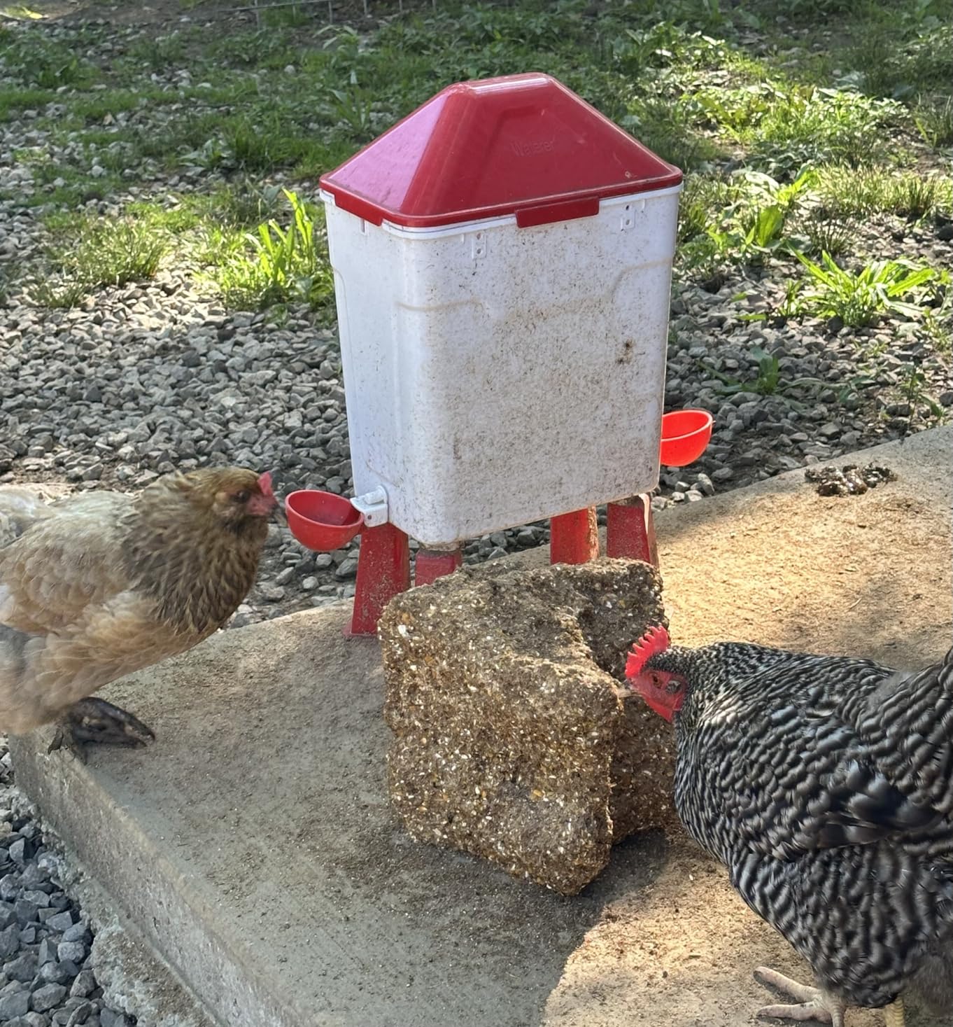 3 Gallon Automatic Chicken Waterer for Hands-Free Hydration, Float-Controlled Chicken Watering System with Leak-Proof Design, 2.75