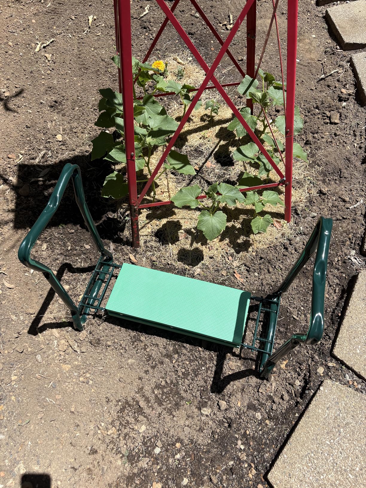 Backyard Expressions Garden Kneeler & Seat - 2-in-1 Garden Stool and Kneeler, Foldable Gardening Bench with Cushioned Pad for Weeding, Planting & Yard Work customer photo 1