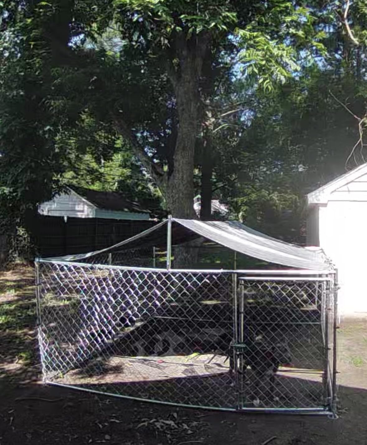 YITAHOME 10'x10' Outdoor Dog Enclosure with Metal Dog Gate, Dog Kennel Outside with Roof, Dog Fence Outdoor for Yard customer photo 1