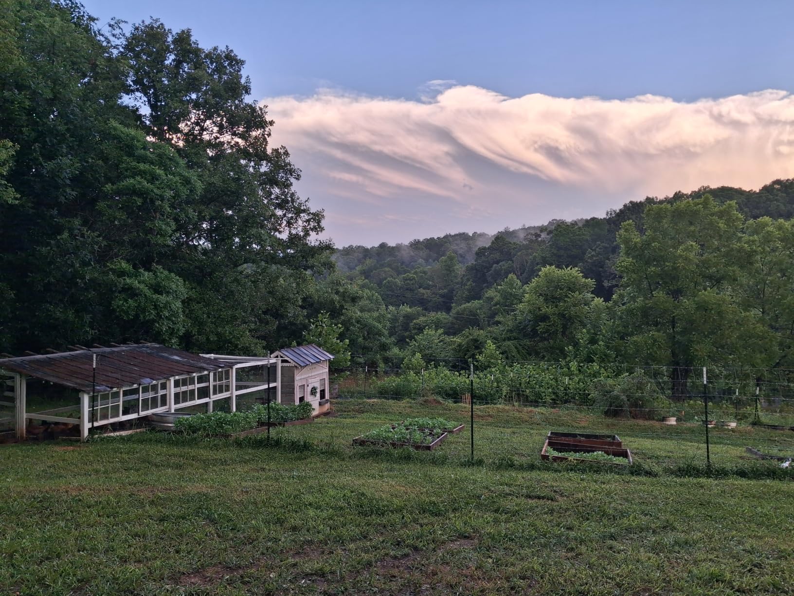 Farm Fence 5FT x 328FT, 12GA Livestock Fence, Galvanized Cattle Fence | Goat FenceHeavy Zinc Coating Wire Fencing, for Goat Deer Yard Livestock Animals Protection customer photo 1