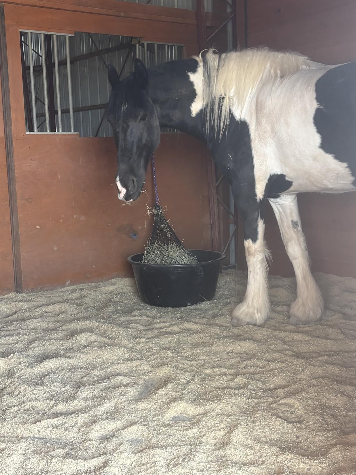 Hay Chix Half Bale Slow Feed Hay Net for Horses - 1 3/4