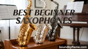Best Beginner Saxophones