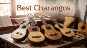 Best Charangos