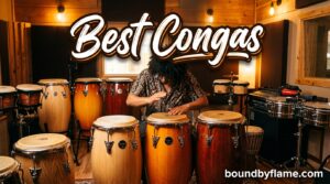 Best Congas