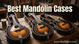 Best Mandolin Cases