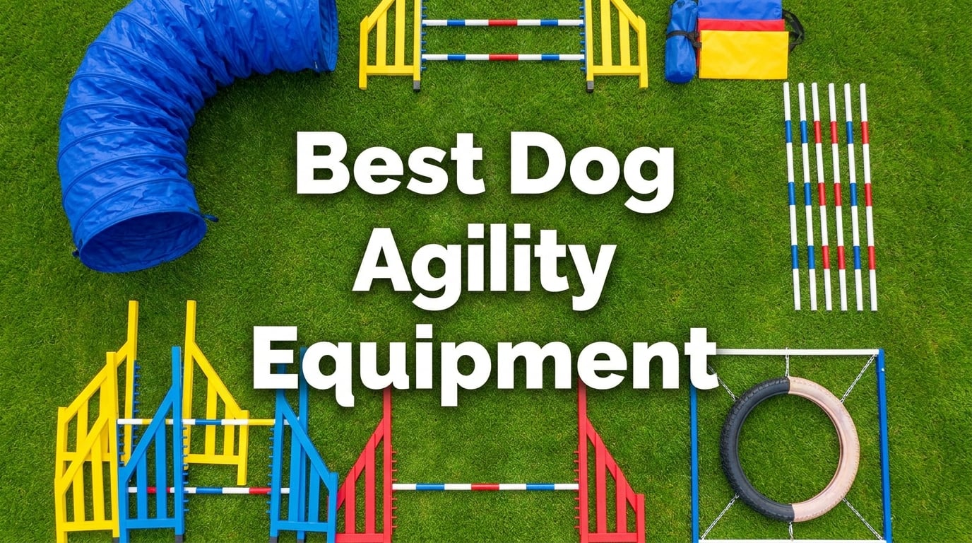 best agility equipment for dogs