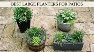 best large planters for patios