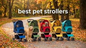 best pet strollers