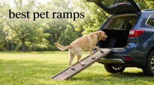 best pet ramps