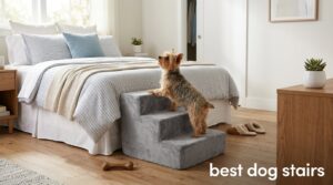 best dog stairs