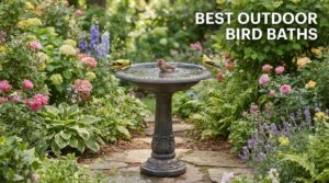 best outdoor bird baths