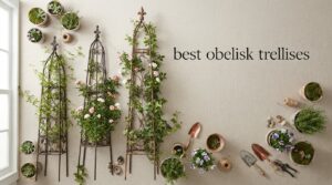 best obelisk trellises