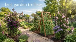 best garden trellises