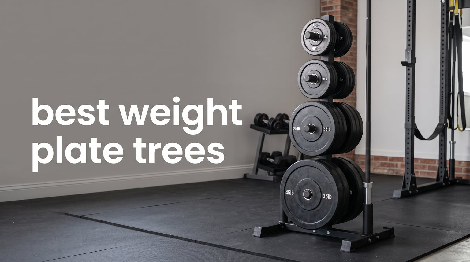 best weight plate trees