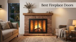 Best Fireplace Doors