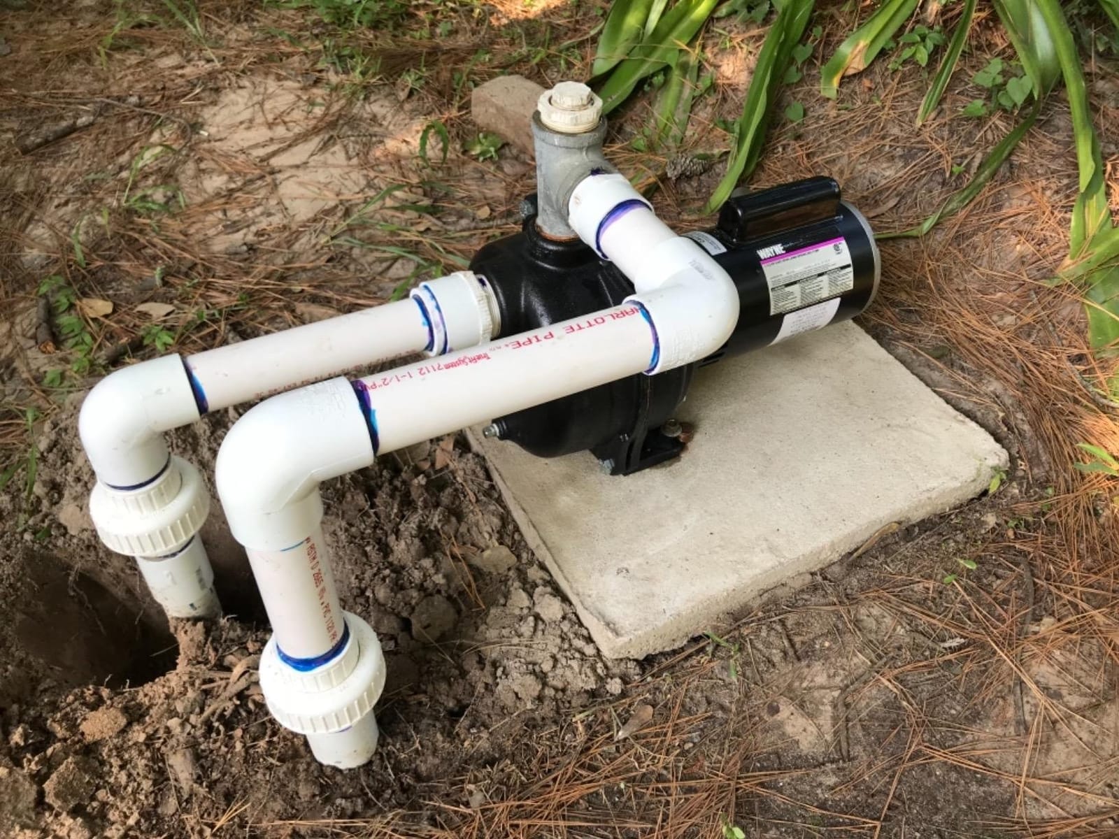 WAYNE WLS150-1 1/2 HP Cast Iron High Volume Lawn Sprinkling Pump - Up to 2,950 Gallons Per Hour - Heavy Duty Outdoor Pump for Sprinkler Systems customer photo 2
