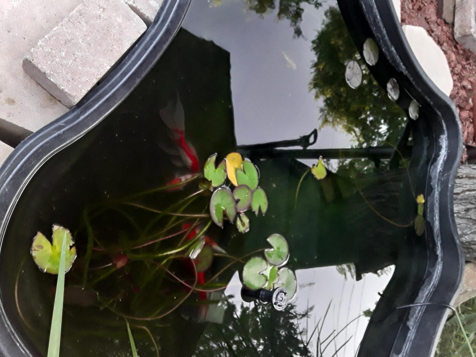 Danner Manufacturing, Inc., Pondmaster Garden Pond Filter and Pump Kit, PMK 1250, Black, 02212 customer photo 1
