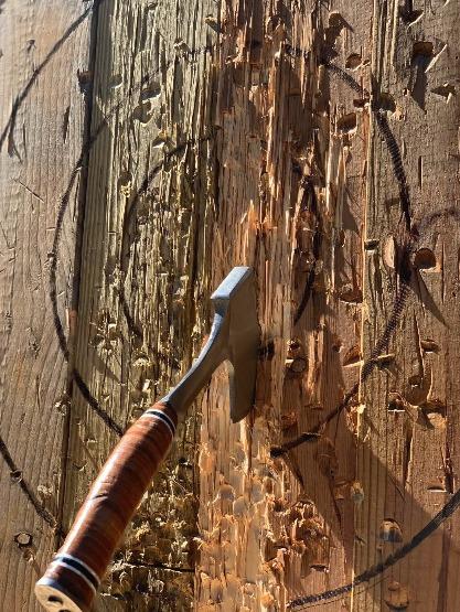 ESTWING Sportsman's Axe 12