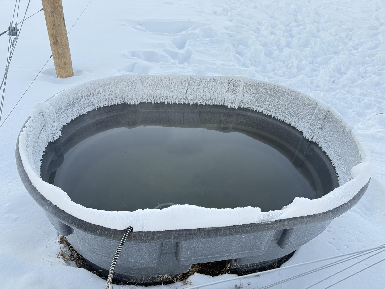 Farm Innovators Ice Chaser Cast Aluminum Submergible Tank De-Icer with Heavy Duty and Anti Chew Cord Protector customer photo 1