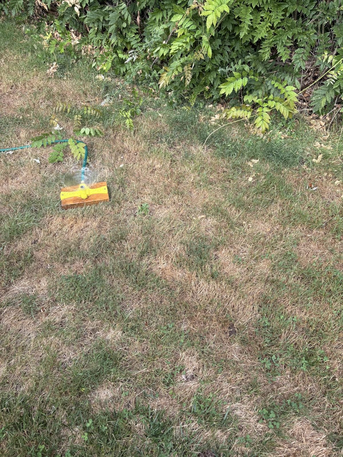 Orbit Port-A-Rain Above-Ground Sprinkler System, Green - 58092 customer photo 2