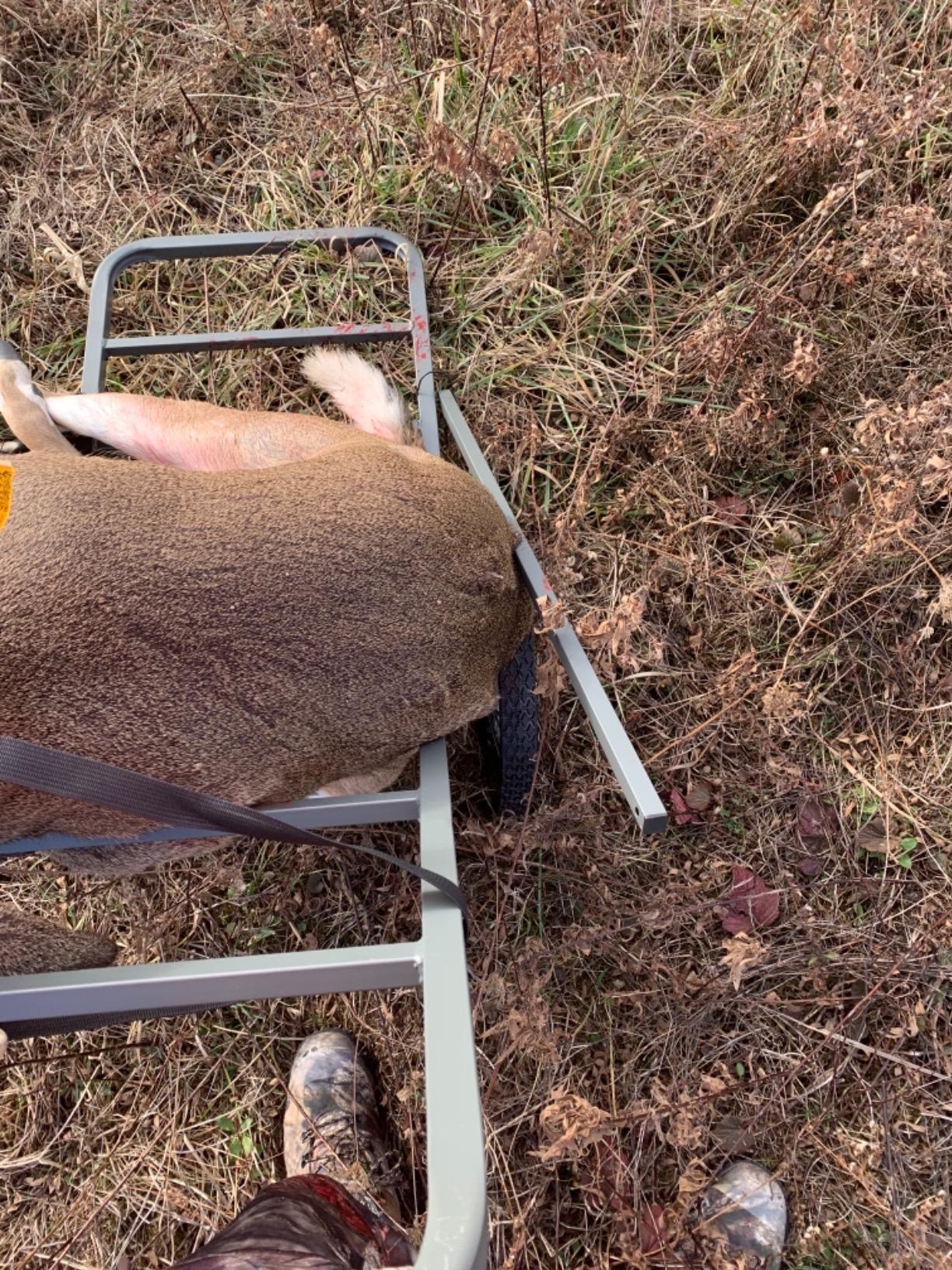 Guide Gear Deluxe Deer Cart, Game Hauler Hunting Gear Accessories, with Big Wheels customer photo 1