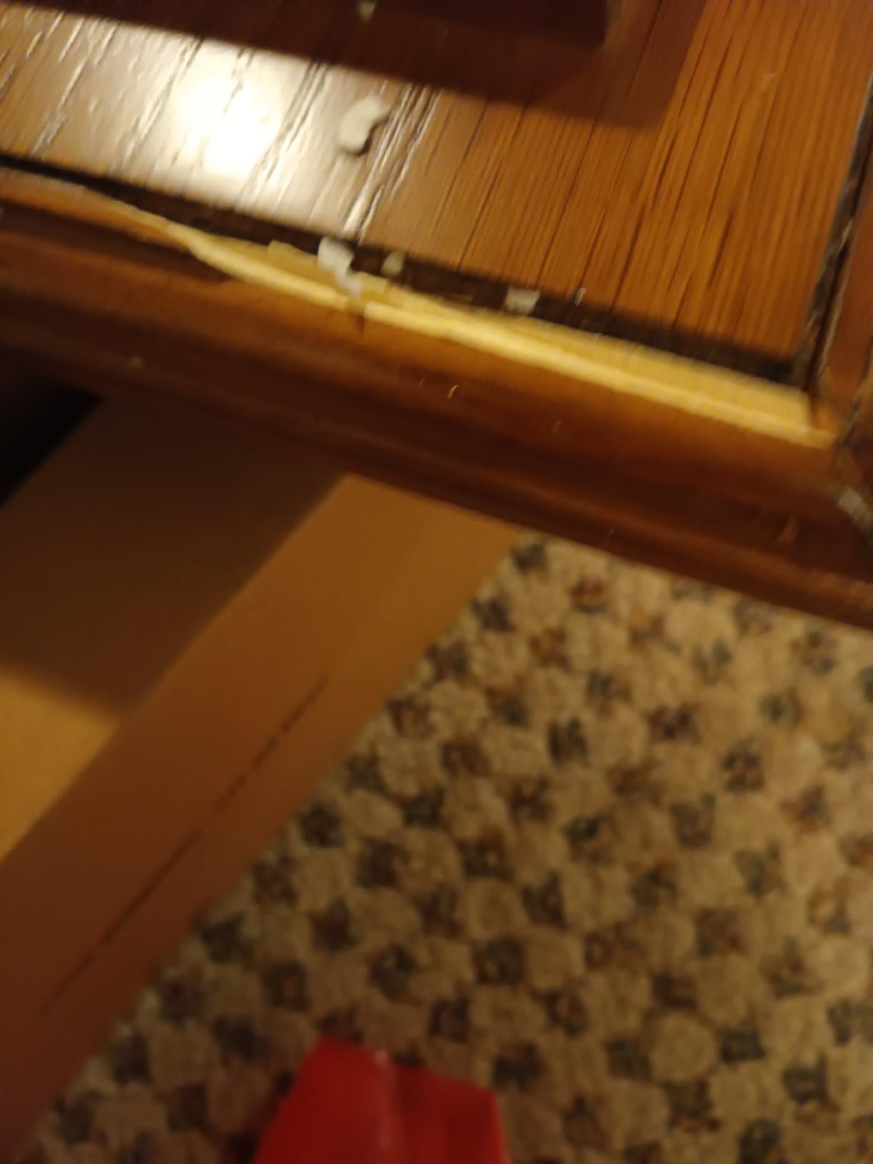 8 Gun Cabinet customer photo 1