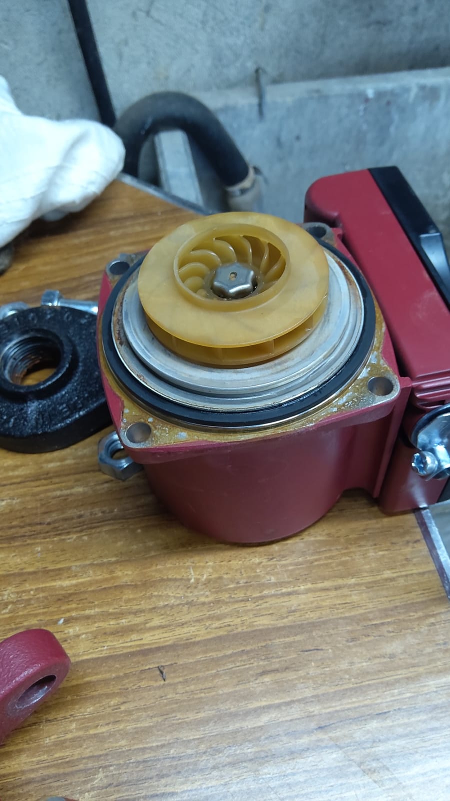 Grundfos 59896155, UP15-42F, SuperBrute Recirculating Pump 1/25 HP,115 -Volt, SMALL RED customer photo 1