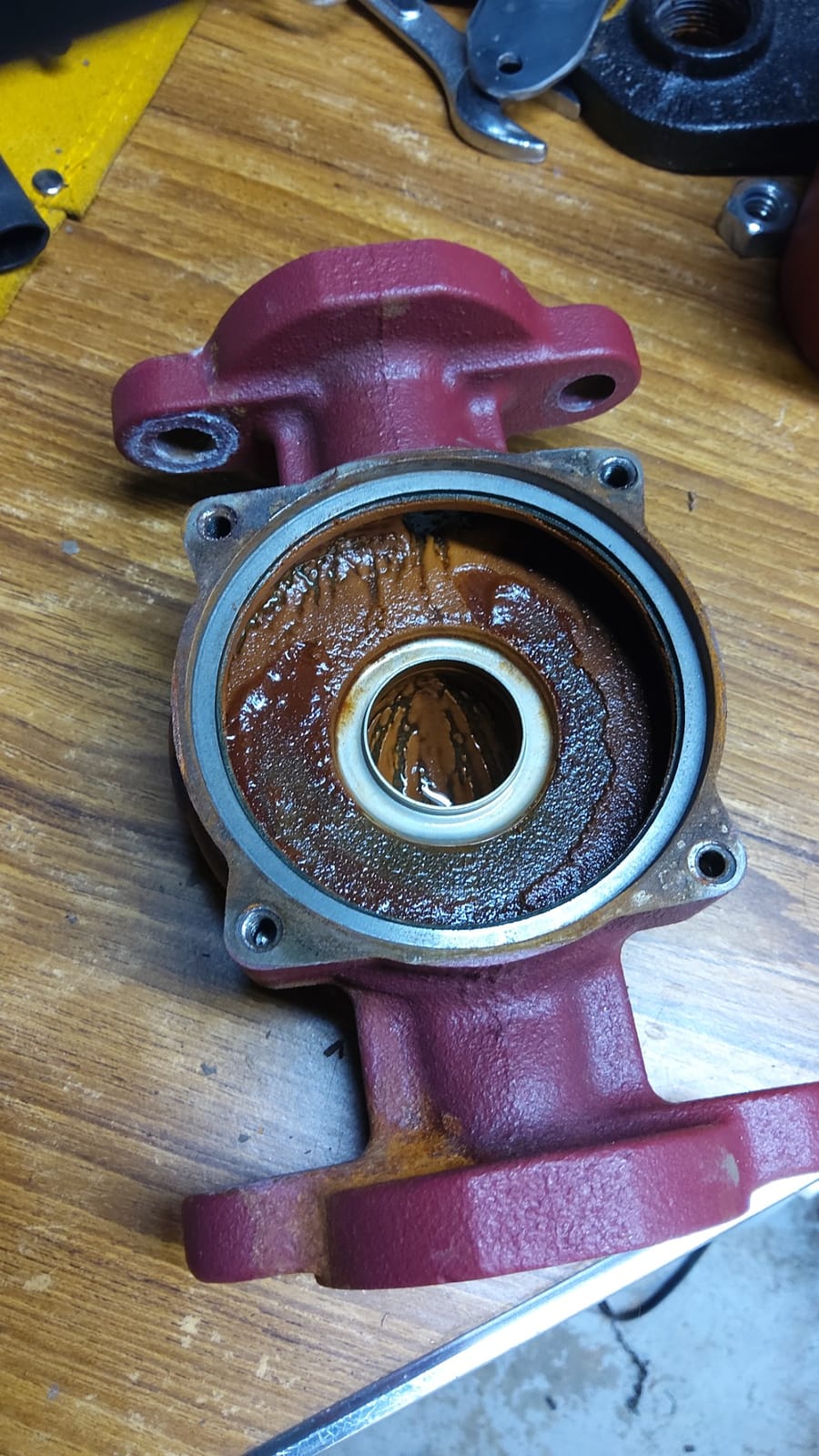 Grundfos 59896155, UP15-42F, SuperBrute Recirculating Pump 1/25 HP,115 -Volt, SMALL RED customer photo 2