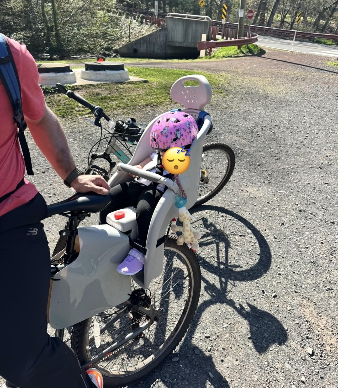 Schwinn Deluxe Child Bike Carrier, Seats one Kid Ages 1+, Frame Mount, Adjustable Safety Harness, Quick Release Design, Comfortable Padding, Rear-Mounted Child Bike Seat for Toddler customer photo 2