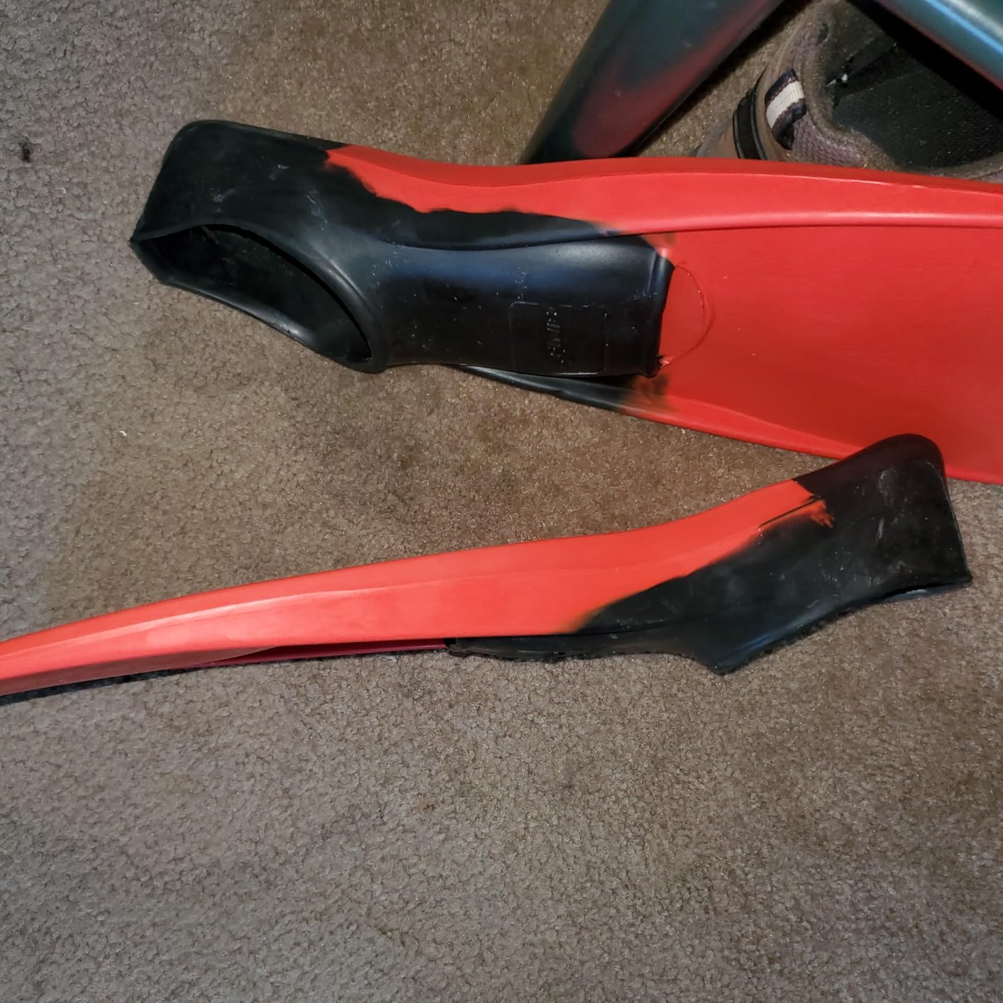 FINIS Long Floating Swim Fins - Adult Training Fins - Improves Kick Technique & Body Position customer photo 1