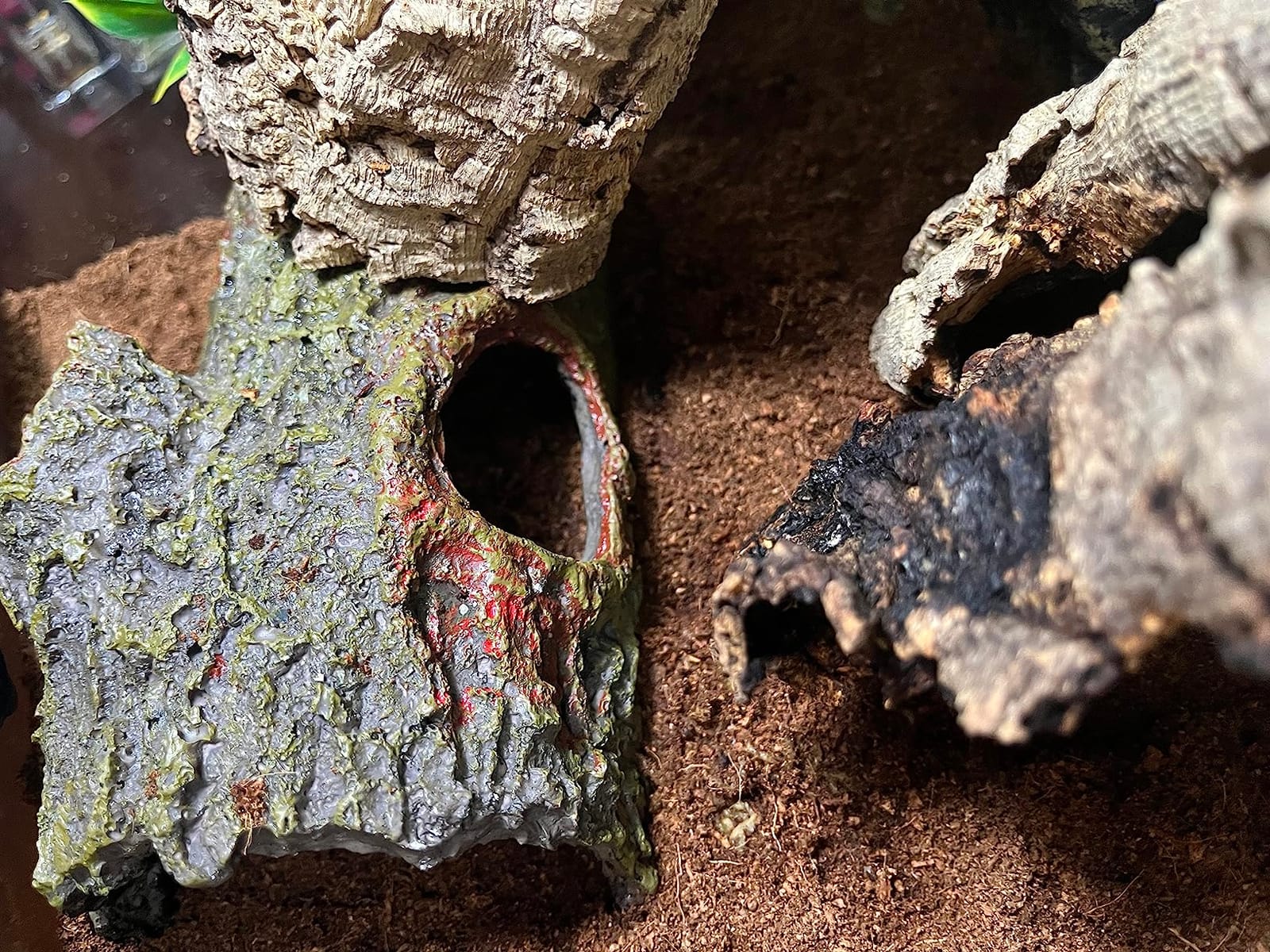 Zilla Bark Bends Reptile Hides for Geckos, Snakes, Frogs, Medium | Reptile bark with non-porous exterior, top viewing window, blends into aquatic or terrestrial terrarium customer photo 1