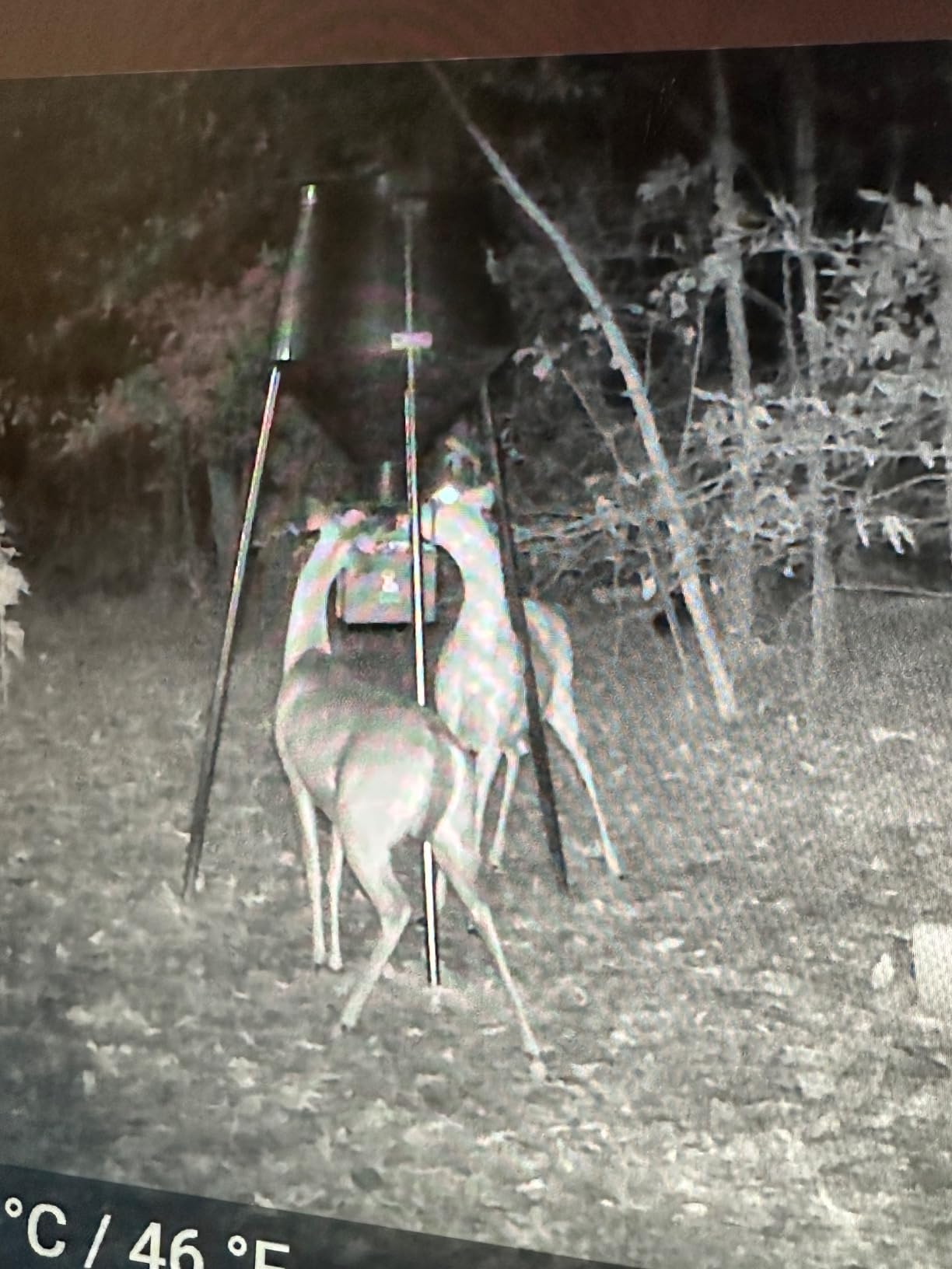 BOSS BUCK 12V Auto Large Feed Kit | Hunting Versatile Automatic Durable Steel Control Box with Digital Timer & Motor for Deer Game Feeder customer photo 2
