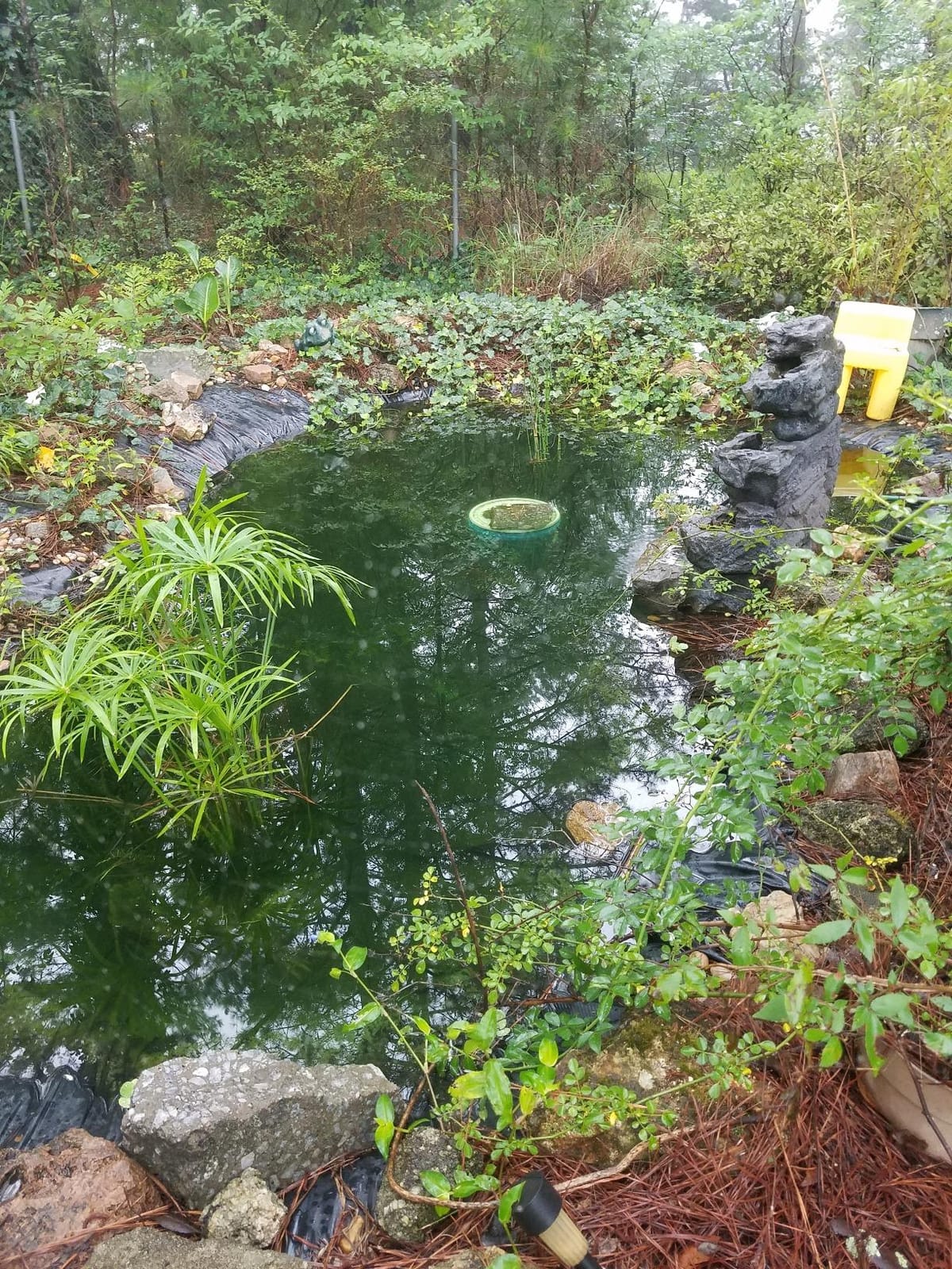 Active Aqua AAPW550 Submersible Water Pump, 550 GPH, 33W customer photo 1