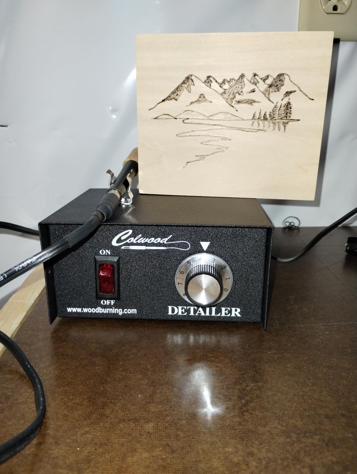 Detailer Basic Woodburning Kit customer photo 1