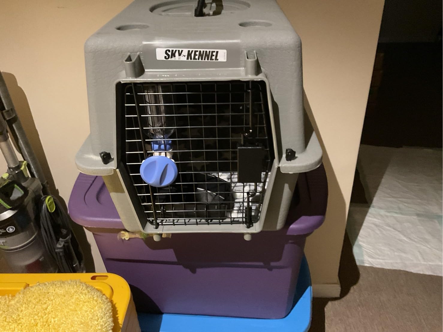 Petmate Sky Kennel For Air and Travel Airline Compliant Dog Crate for Smaller Dog Breeds or Pets up to 15 lbs, Heavy Duty Dog Kennel, Made in the USA, 21