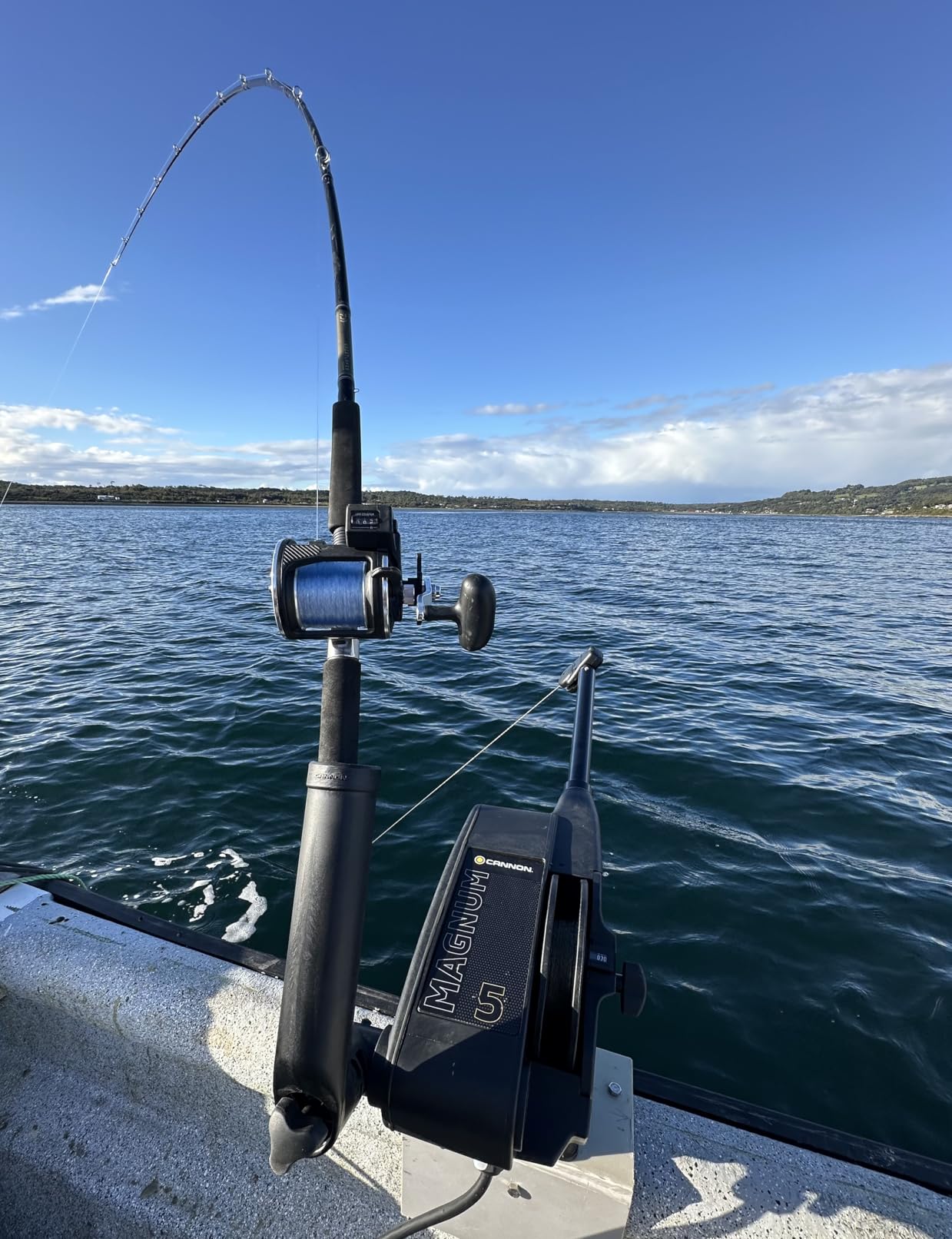 Cannon Magnum Series Electric Downriggers customer photo 1