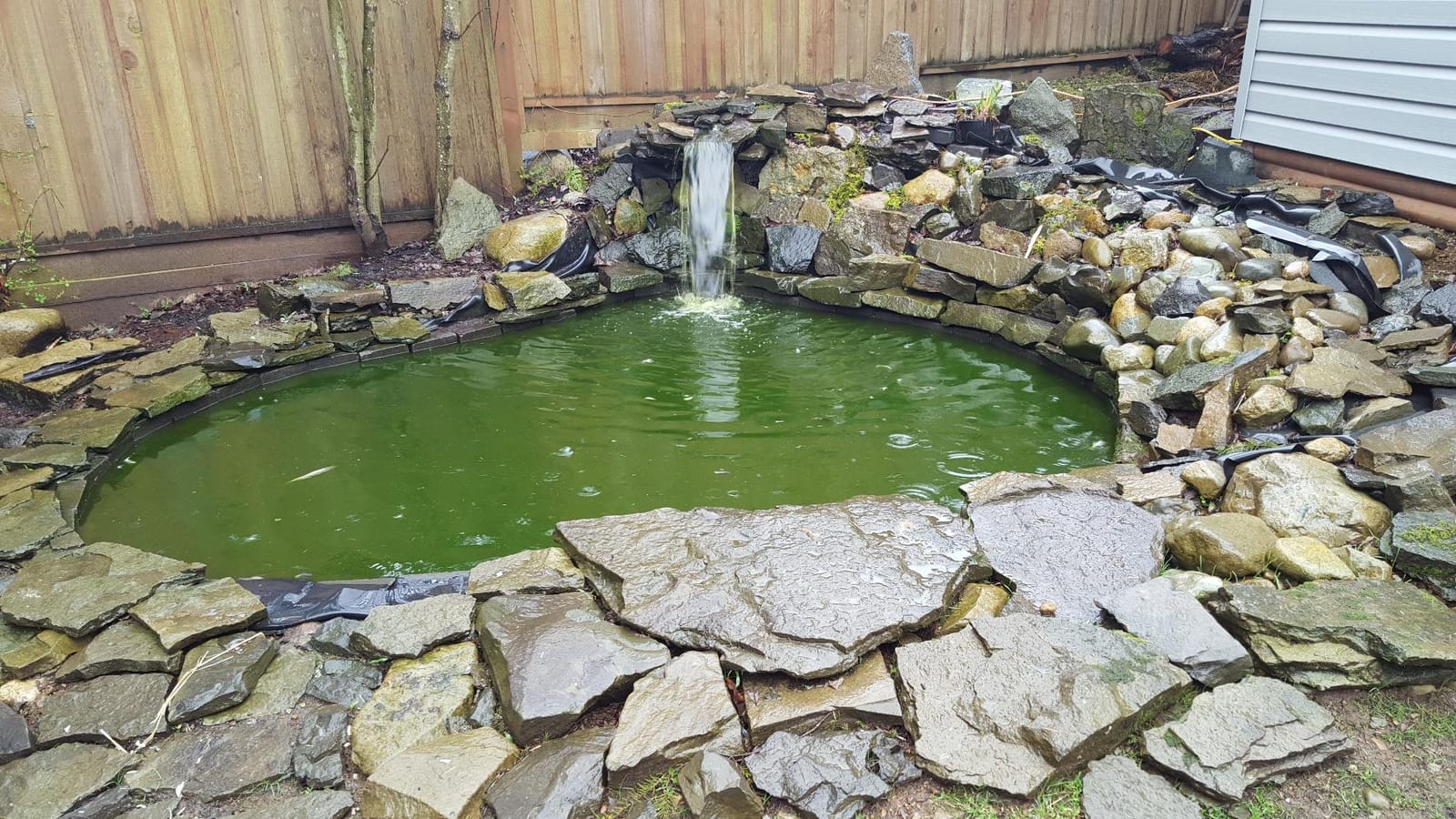 Active Aqua Submersible Water Pump, 1000 GPH, Magnetic Drive, Hydroponic customer photo 2