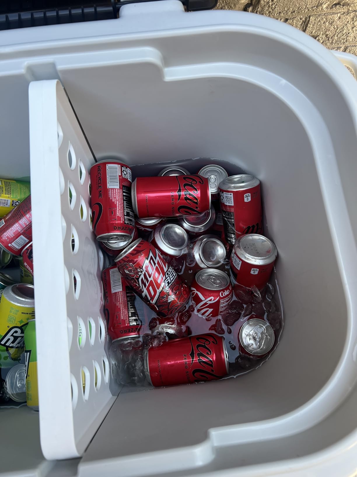 Igloo Hard Cooler | Polar & Party Bar Series | Insulated Ice Chests customer photo 1