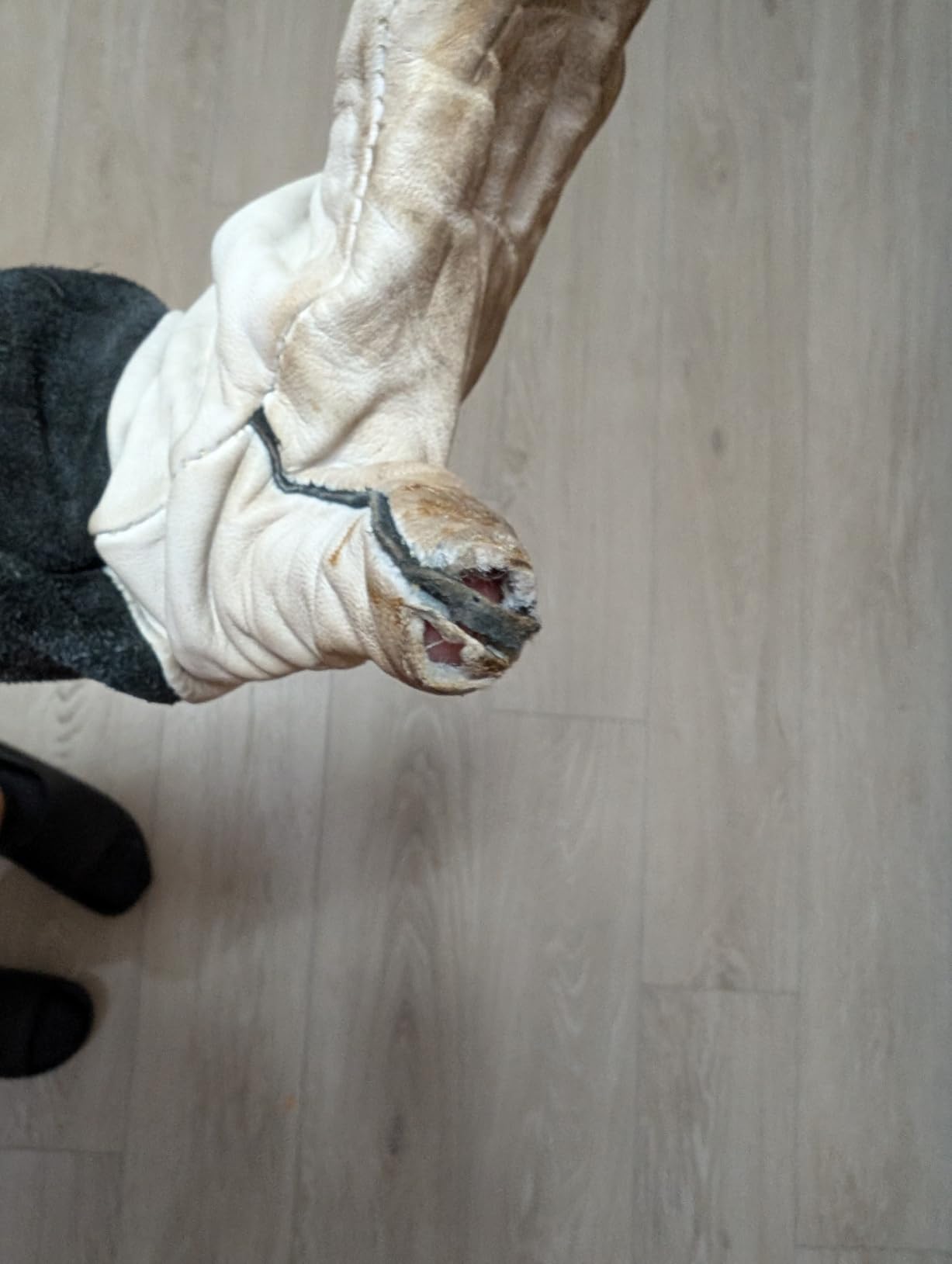 Lincoln Electric Grain Leather TIG Welding Gloves | Comfortable | Lightweight | K2981 - (M -XL) customer photo 1