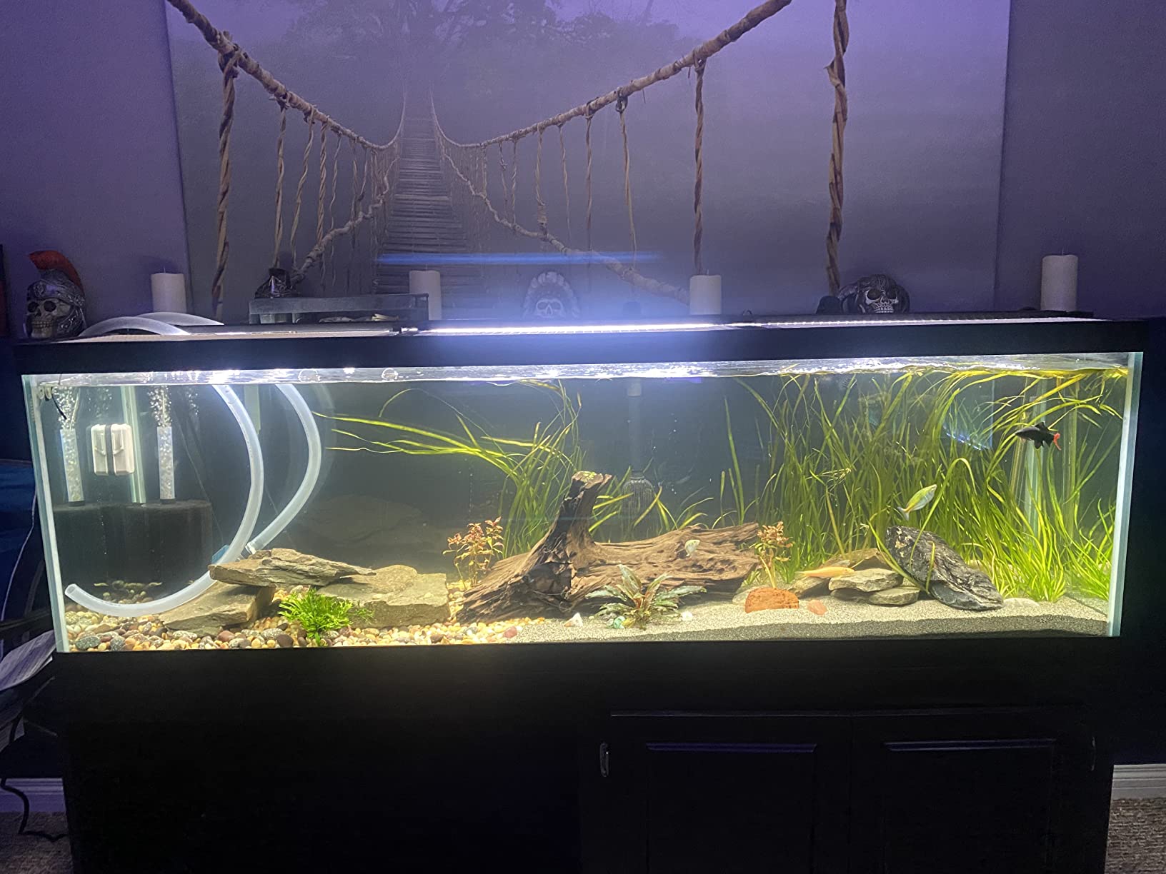 Coralife Aquarium Fish Tank Marine Salt Water Turbo-Twist UV Sterilizer 6X, For up to 250 Gallons customer photo 2