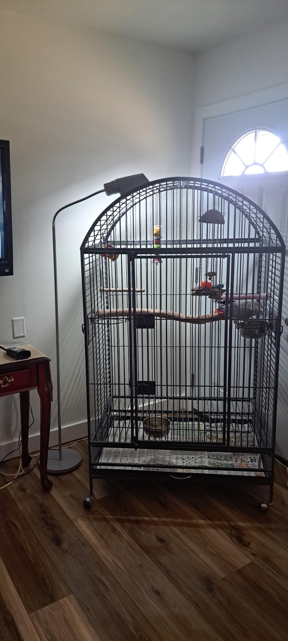 Zoo Med Avian Sun Deluxe DLX Floor Bird Lamp Fixture customer photo 2