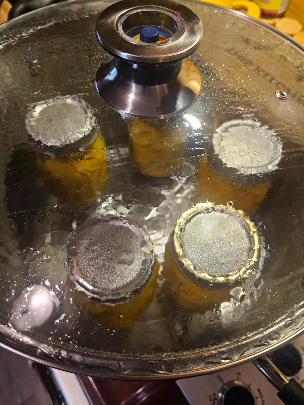 Harvest Stainless Steel 20 Qt Canning Pot with Rack | Water Bath or Steam Canning | Works on All Stovetops Including Induction, Glass, Gas (Stainless Steel Canner + Tools) customer photo 2