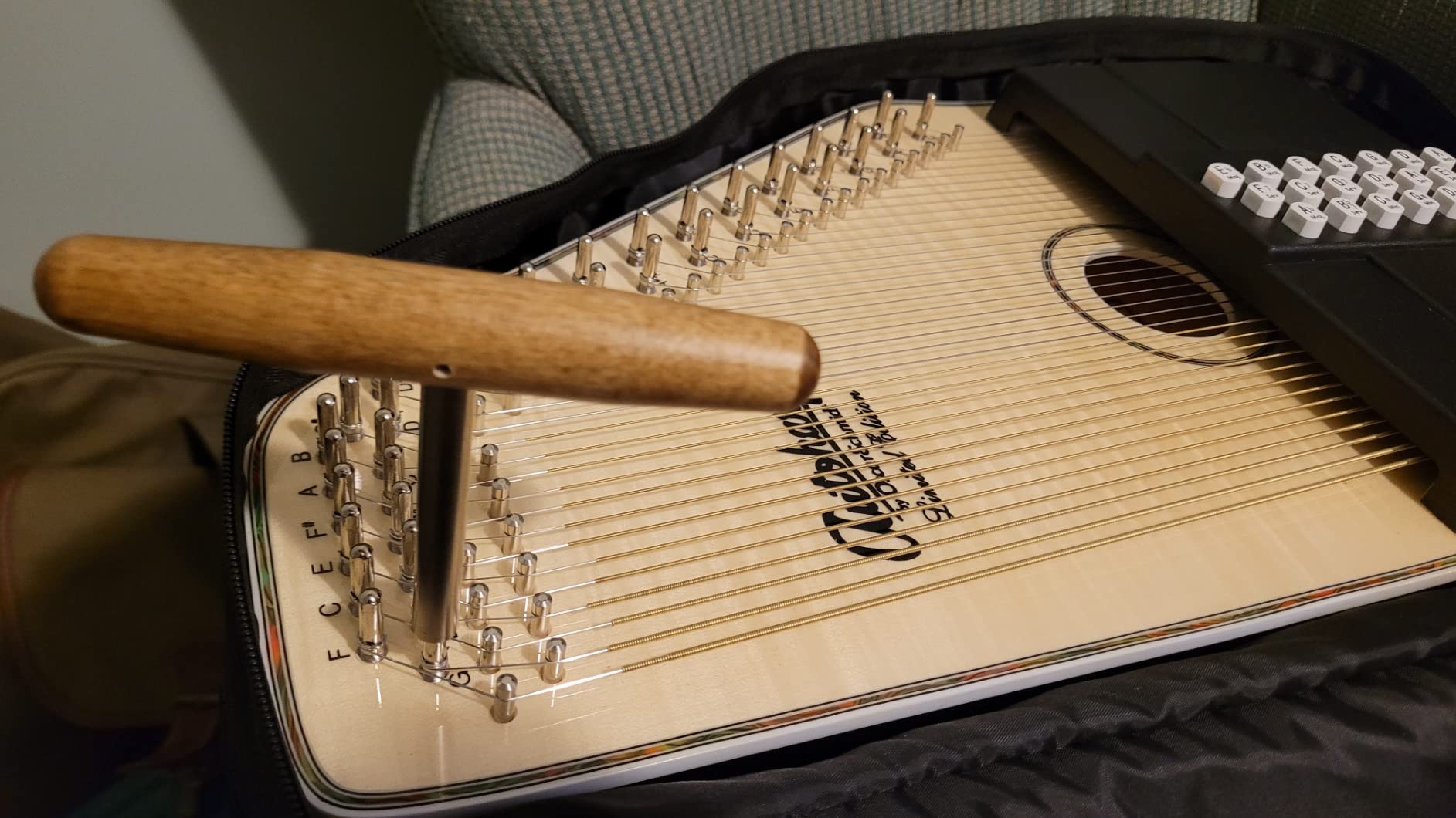 Oscar Schmidt OS11021FNE 21 Chord Acoustic Electric Auto Harp, Flame Maple customer photo 1