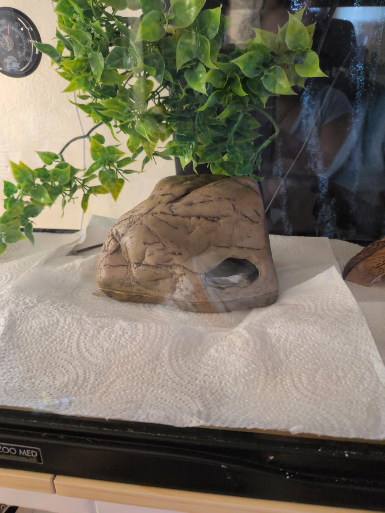 Exo Terra Gecko Cave for Reptiles and Amphibians, Reptile Hideout, Medium | Hideout to Help Alleviate Stress customer photo 1