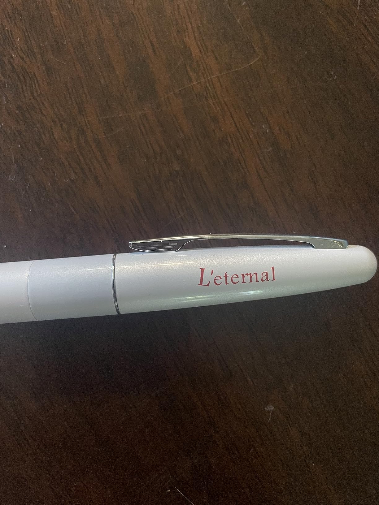 Pilot Cocoon Fountain Pen Fine Nib Titanium Body (FCO-3SR-TI-F) customer photo 2