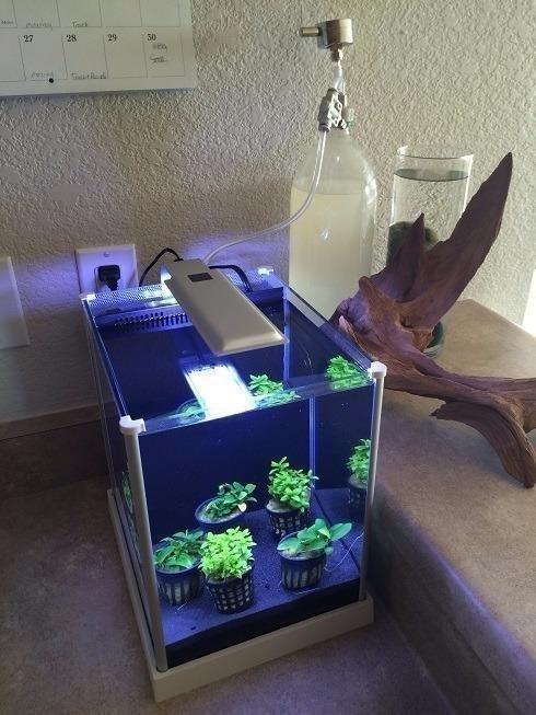Fluval SPEC Freshwater Aquarium Kit, Aquarium with LED Lighting and 3-Stage Filtration, 2.6 Gallon, Black customer photo 2
