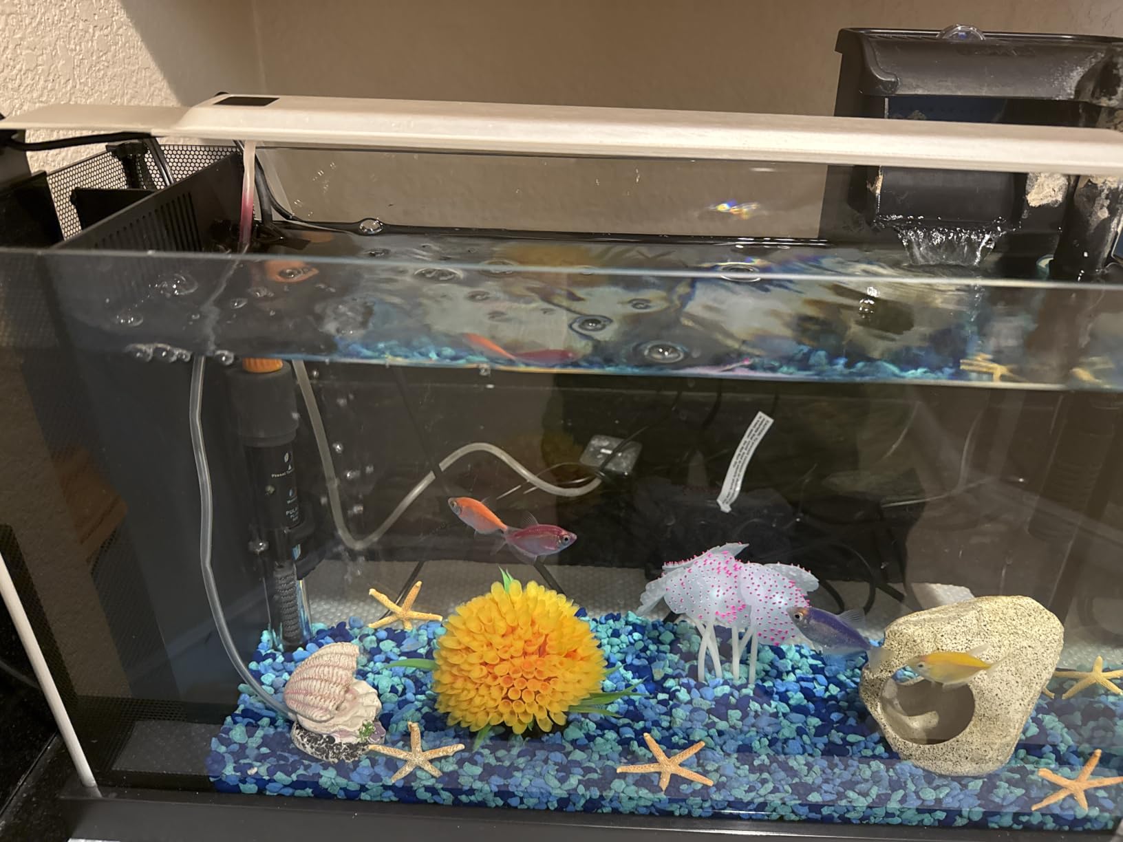 Fluval SPEC III Aquarium Kit, Aquarium with LED Lighting and 3-Stage Filtration System, 2.6 Gallon, White, 10517A1 customer photo 1
