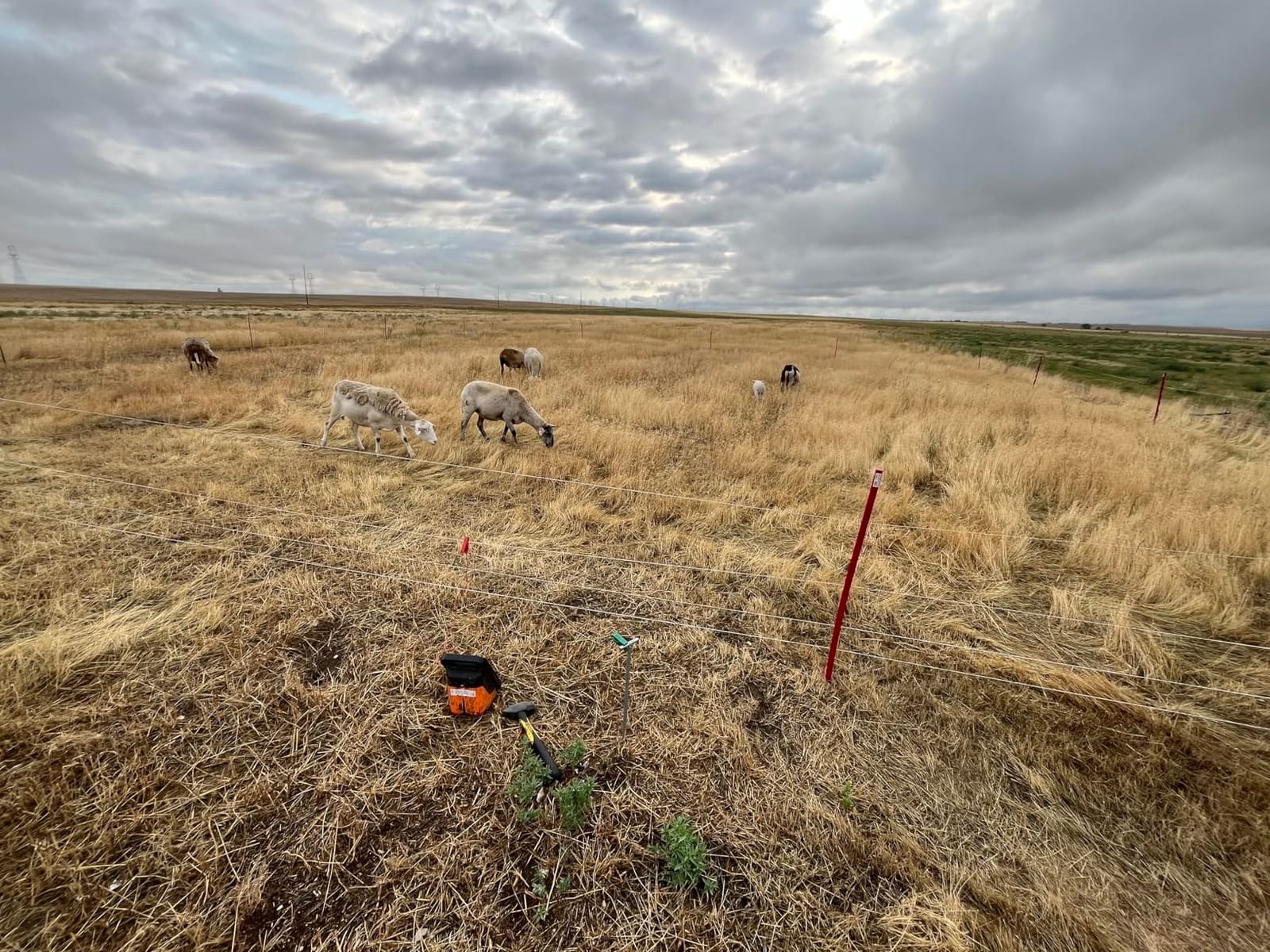 Gallagher Smart Fence 2 Portable Electric Fence for Livestock | 328ft of 4-Strand Electric Fencing, Built-In Posts and Reels, Quick Install Temporary Field Fencing customer photo 2