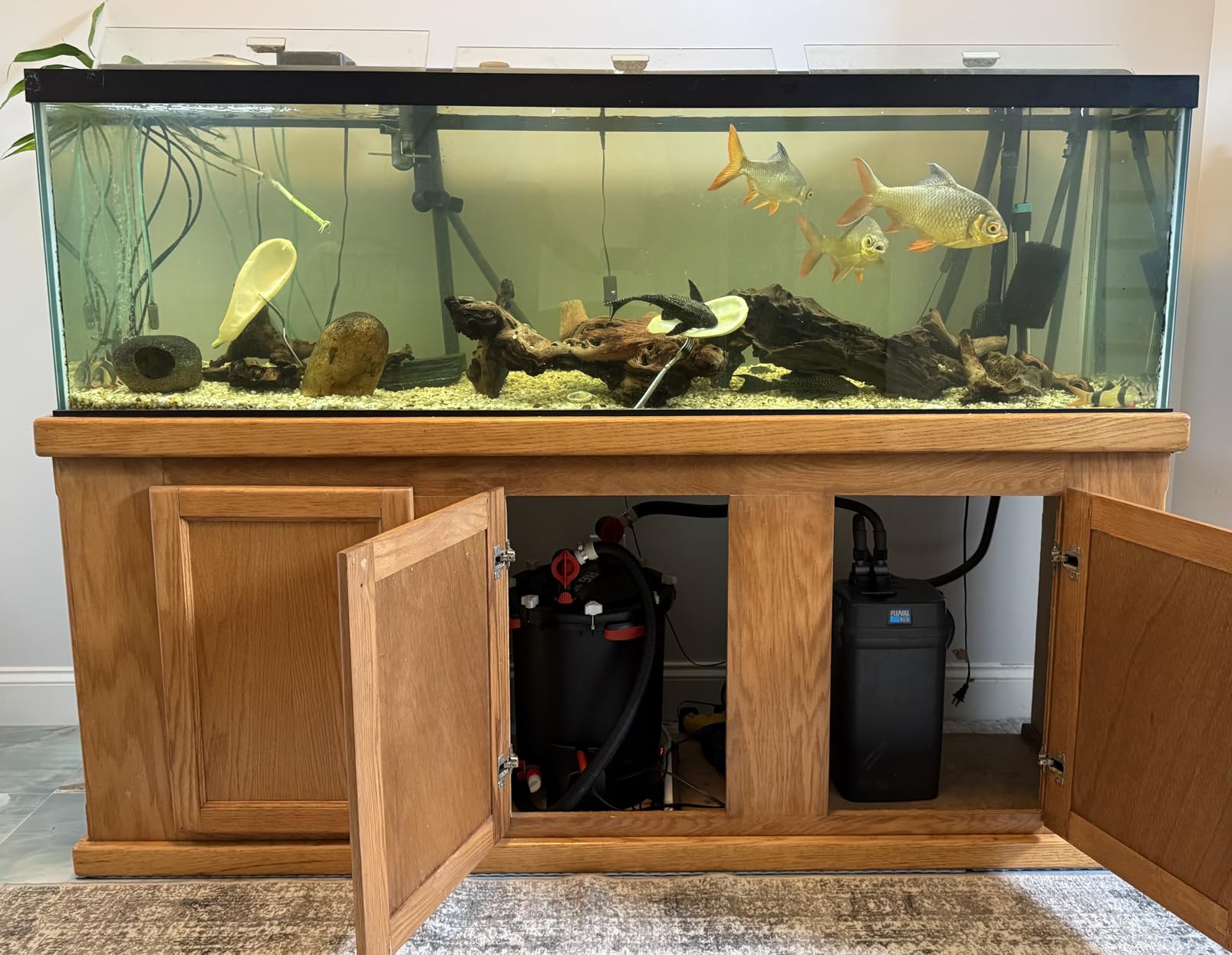Fluval FX6 High Performance Aquarium Filter, up to 400 Gal. customer photo 2