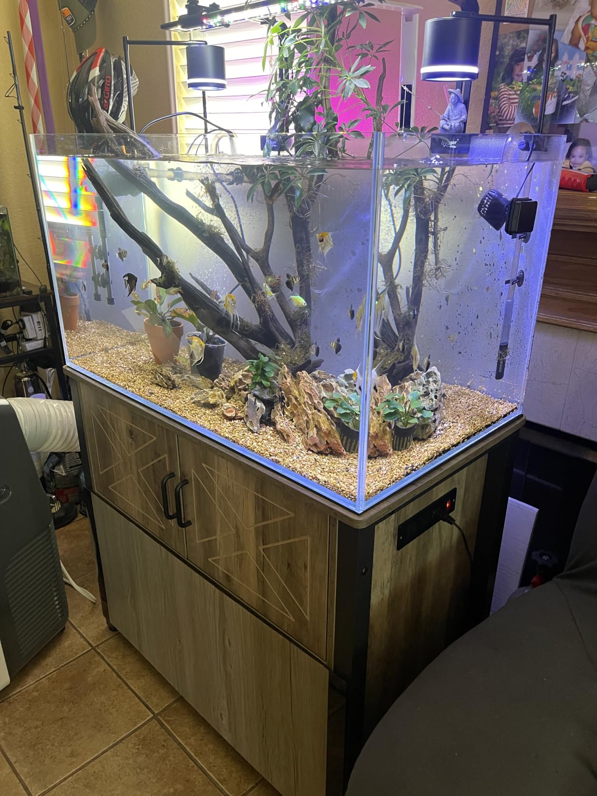 LANDEN Aquarium Cube 6.6 Gallon Ultra Clear Glass Rimless Fish Tank 30C customer photo 2